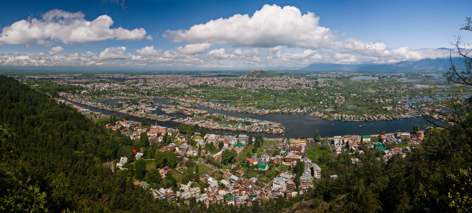 Day 2: Srinagar - Local sightseeing 50 Kms