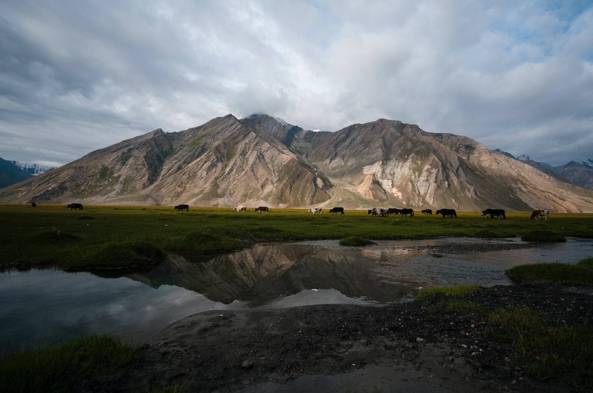 Day 04 : Drive Kargil - Rangdum (12,000ft)